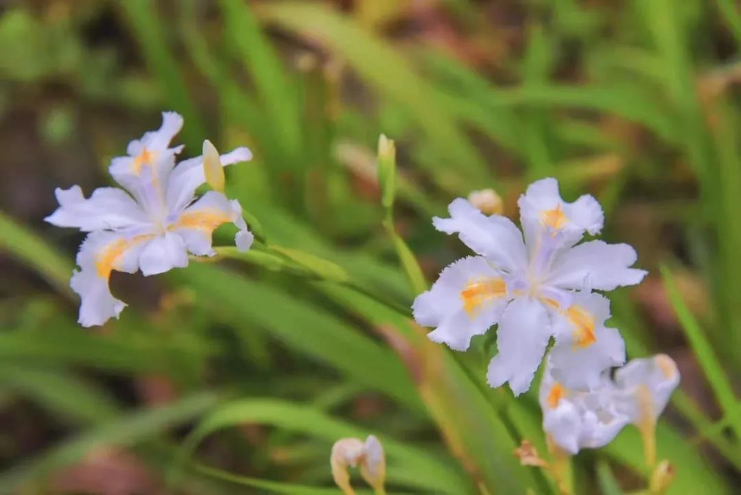 pp电子·(中国)官方网站
